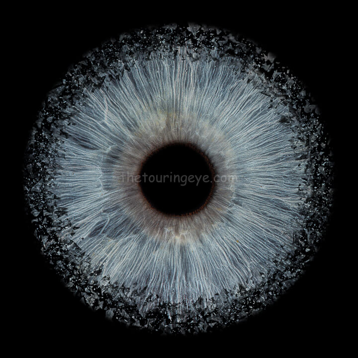 A blue eye iris with the explosion effect hand created. The image is a high detail close up showing just the iris of the eye. The Touring Eye. Iris photography. Eye photography. UK.