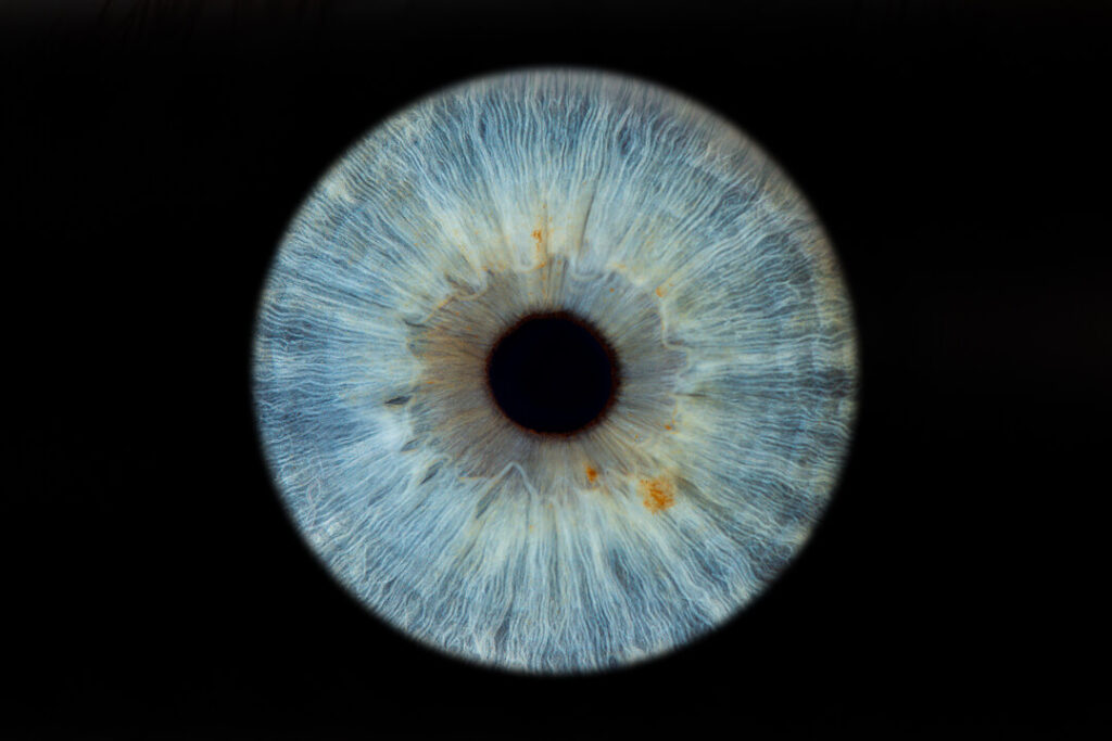 A bright light blue eye iris hand edited. The image is a high detail close up showing just the iris of the eye. The Touring Eye. Iris photography. Eye photography. UK.
