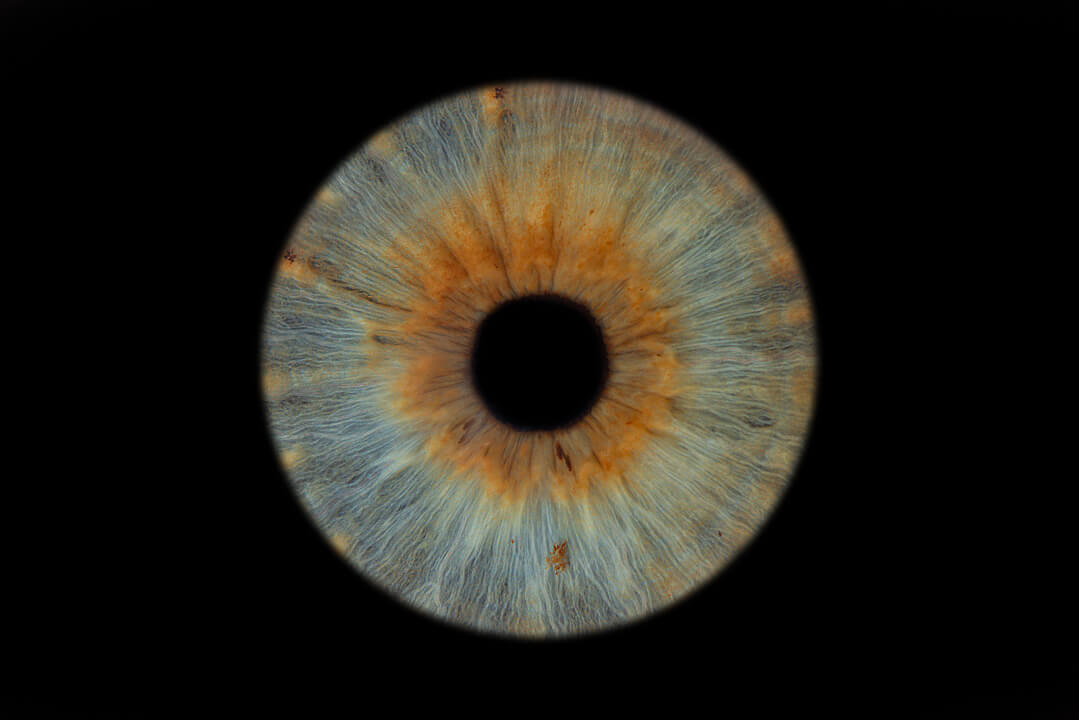 A blue with brown eye iris hand edited. The image is a high detail close up showing just the iris of the eye. The Touring Eye. Iris photography. Eye photography. UK.
