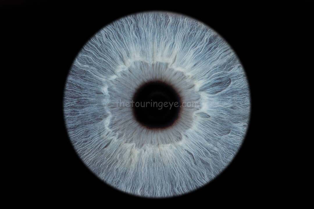 A bright blue eye iris hand edited. The image is a high detail close up showing just the iris of the eye. The Touring Eye. Iris photography. Eye photography. UK.