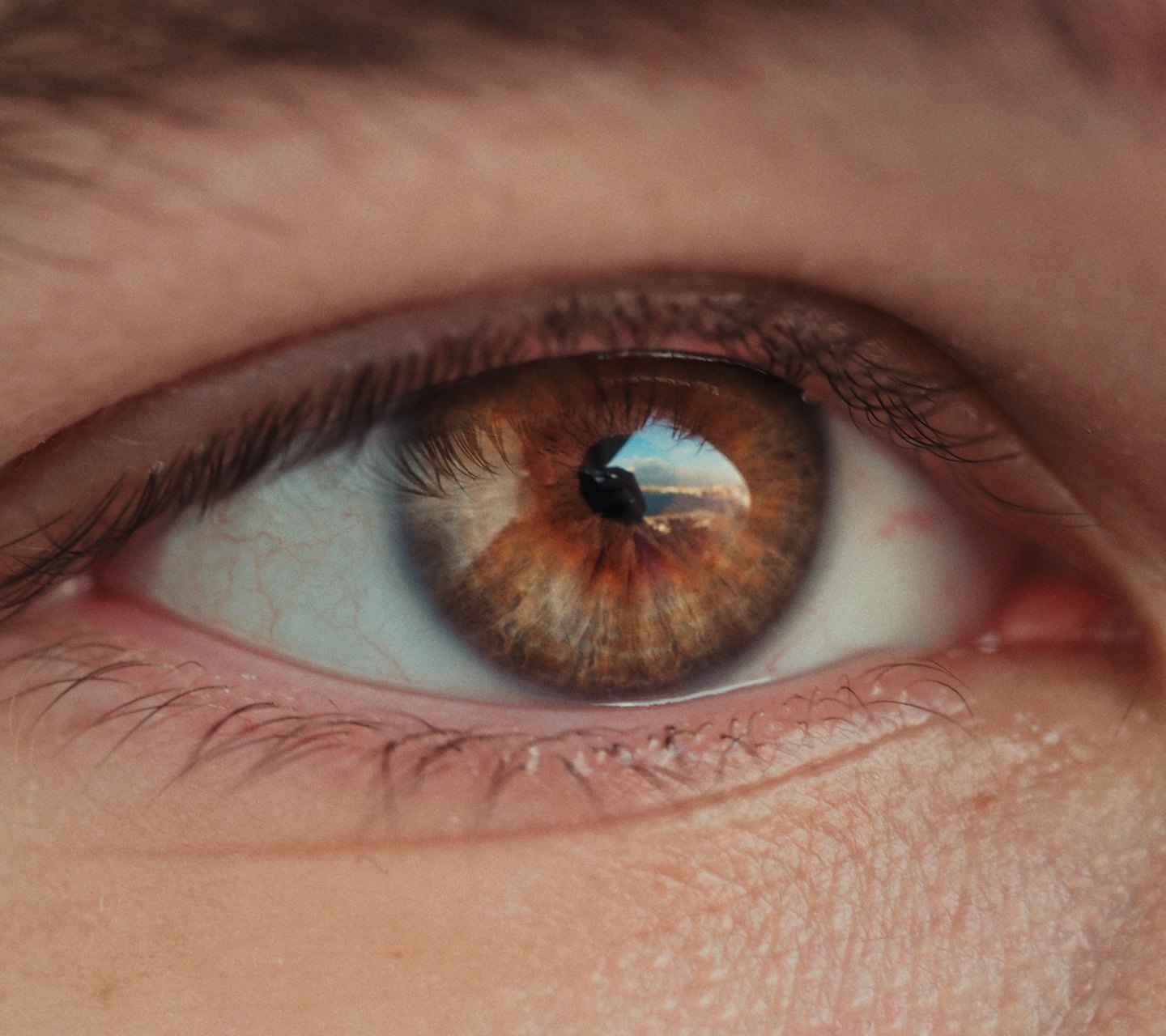 A closeup image of a human eye. Showing a brown iris looking to the right of frame. Eyes of Britain. Iris photography. Eye photography. Photography project. UK
